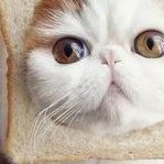 肾上腺发育不良患者在原海军总医院做三代试管怎么样？可以避免遗传吗？