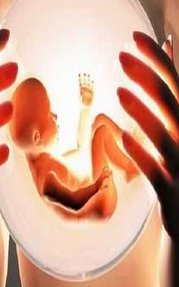 去哈萨克斯坦要多少钱试管？