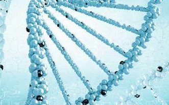 2026年未婚单身前往岳阳市一人民医院做试管要准备多少钱？十五万够吗？