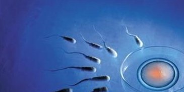 海口三代试管不排队医院名单汇总，试管助孕费用细分介绍