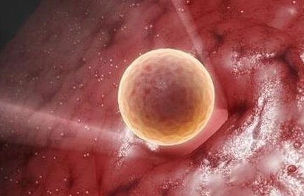 格鲁吉亚试管技术了解，三代试管生孩子费用分为三部分